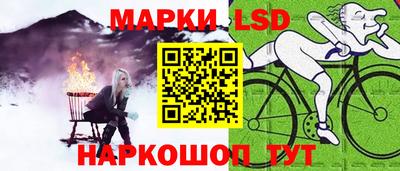 СК Можга