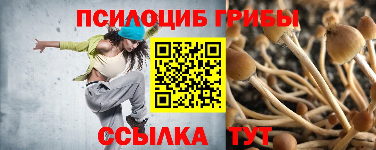 Псилоцибиновые грибы MAGIC MUSHROOMS Торжок